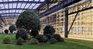 习近平：以美丽中国建设全面推进人与自然和谐共生的现代化